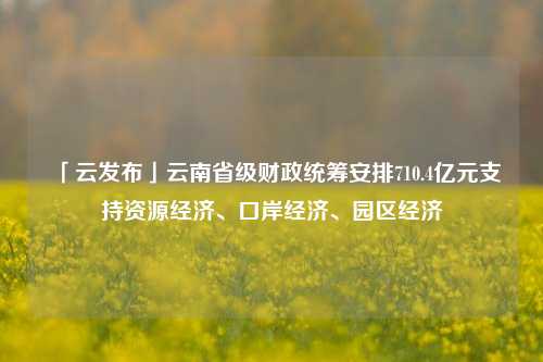 「云发布」云南省级财政统筹安排710.4亿元支持资源经济、口岸经济、园区经济