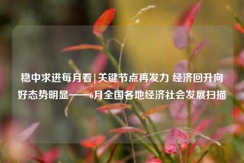 稳中求进每月看|关键节点再发力 经济回升向好态势明显——6月全国各地经济社会发展扫描
