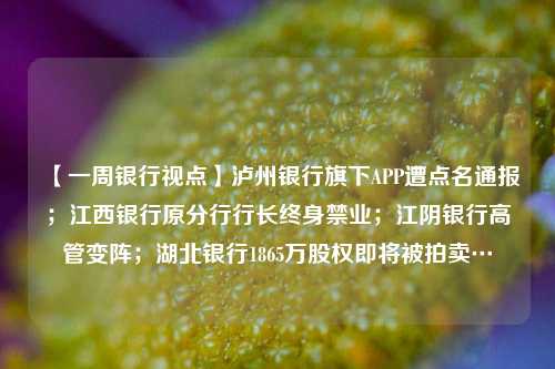 【一周银行视点】泸州银行旗下APP遭点名通报；江西银行原分行行长终身禁业；江阴银行高管变阵；湖北银行1865万股权即将被拍卖…