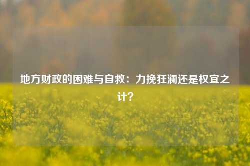 地方财政的困难与自救：力挽狂澜还是权宜之计？