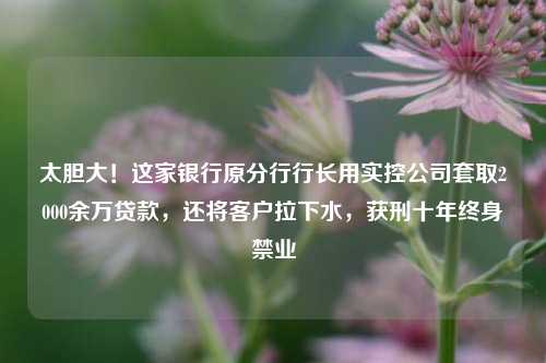 太胆大！这家银行原分行行长用实控公司套取2000余万贷款，还将客户拉下水，获刑十年终身禁业