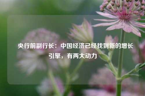 ​央行前副行长：中国经济已经找到新的增长引擎，有两大动力
