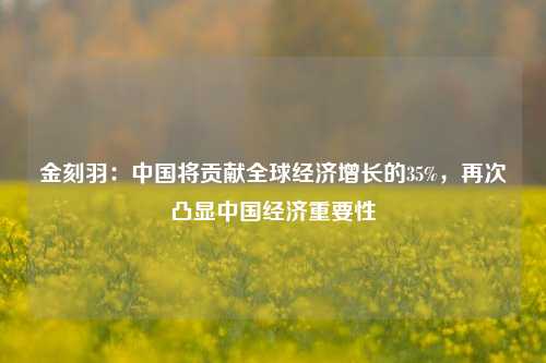 金刻羽：中国将贡献全球经济增长的35%，再次凸显中国经济重要性