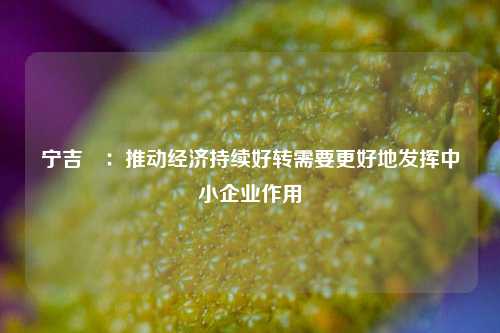 宁吉喆：推动经济持续好转需要更好地发挥中小企业作用