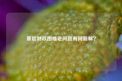 基层财政困难老问题有何新解？