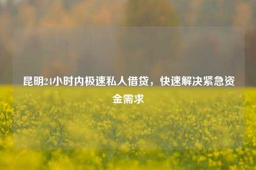 昆明24小时内极速私人借贷，快速解决紧急资金需求 私借空放 第1张