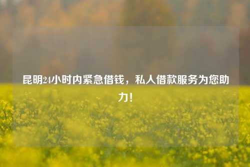 昆明24小时内紧急借钱，私人借款服务为您助力！