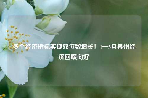 多个经济指标实现双位数增长！1—5月泉州经济回暖向好