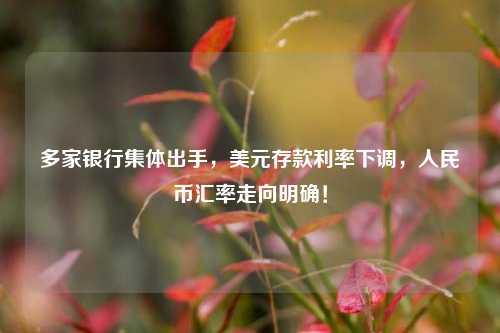 多家银行集体出手，美元存款利率下调，人民币汇率走向明确！