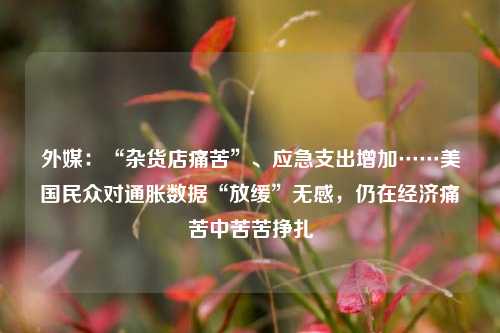 外媒：“杂货店痛苦”、应急支出增加……美国民众对通胀数据“放缓”无感，仍在经济痛苦中苦苦挣扎