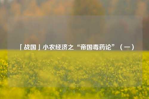 「战国」小农经济之“帝国毒药论”（一）