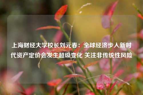 上海财经大学校长刘元春：全球经济步入新时代资产定价会发生超级变化 关注非传统性风险