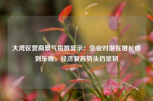 大湾区营商景气指数显示：企业对潜在增长感到乐观，经济复苏势头仍坚韧