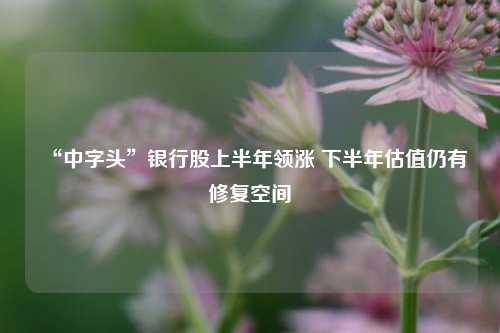 “中字头”银行股上半年领涨 下半年估值仍有修复空间
