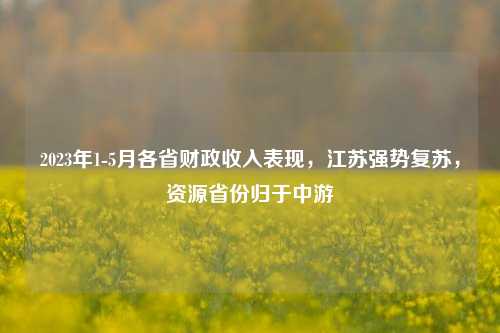 2023年1-5月各省财政收入表现，江苏强势复苏，资源省份归于中游