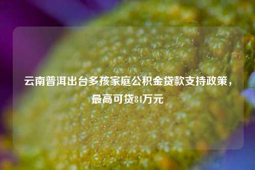 云南普洱出台多孩家庭公积金贷款支持政策，最高可贷84万元 公积金缴存 住房公积金贷款 公积金 行业新闻 第1张