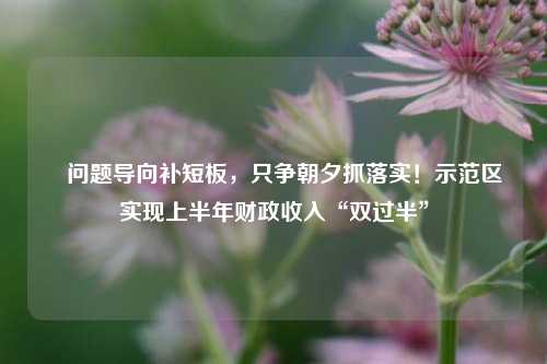 ​问题导向补短板，只争朝夕抓落实！示范区实现上半年财政收入“双过半” 预算 宏观经济 国内宏观 行业新闻 第1张