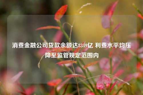 消费金融公司贷款余额达8349亿 利费水平均压降至监管规定范围内