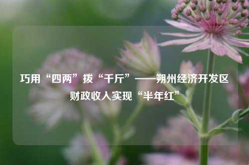 巧用“四两”拨“千斤”——朔州经济开发区财政收入实现“半年红”