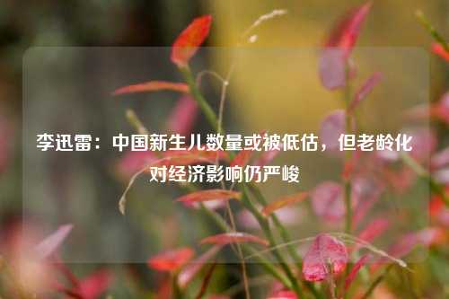 李迅雷：中国新生儿数量或被低估，但老龄化对经济影响仍严峻