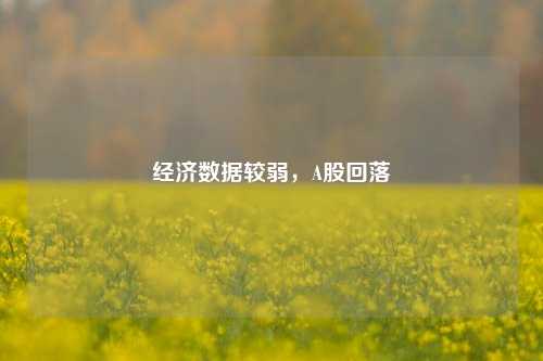 经济数据较弱，A股回落