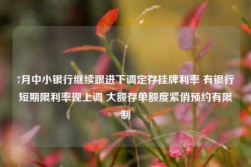 7月中小银行继续跟进下调定存挂牌利率 有银行短期限利率现上调 大额存单额度紧俏预约有限制
