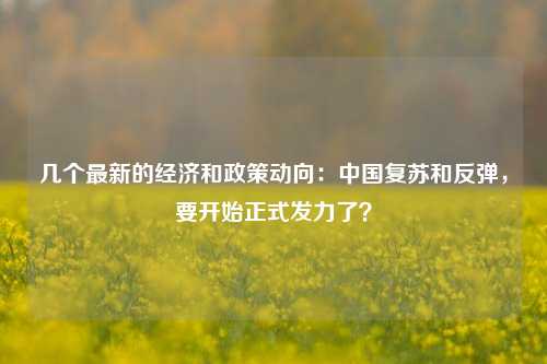 几个最新的经济和政策动向：中国复苏和反弹，要开始正式发力了？