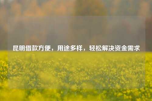 昆明借款方便，用途多样，轻松解决资金需求
