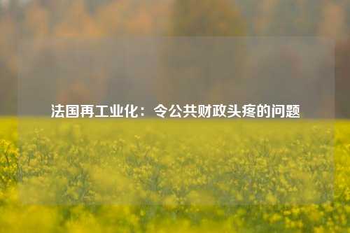法国再工业化：令公共财政头疼的问题