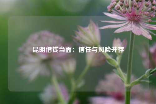 昆明借钱当面：信任与风险并存 经济 金融 私人借款 第1张