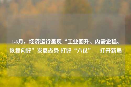 1-5月，经济运行呈现“工业回升、内需企稳、恢复向好”发展态势 打好“六仗” 打开新局