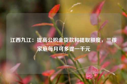 江西九江：提高公积金贷款和提取额度，三孩家庭每月可多提一千元