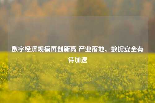数字经济规模再创新高 产业落地、数据安全有待加速