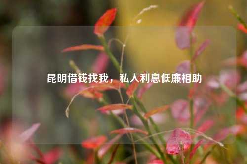 昆明借钱找我，私人利息低廉相助