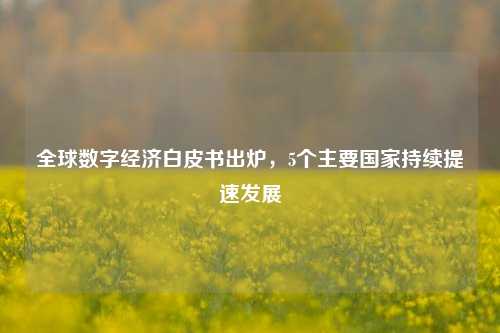全球数字经济白皮书出炉，5个主要国家持续提速发展