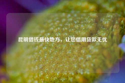 昆明借钱最快地方，让您信用贷款无忧 信用 借钱快 信用贷款 昆明急用钱 第1张