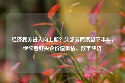 经济复苏进入向上期？头部券商展望下半年，继续看好央企价值重估、数字经济