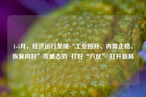 1-5月，经济运行呈现“工业回升、内需企稳、恢复向好”发展态势 打好“六仗” 打开新局