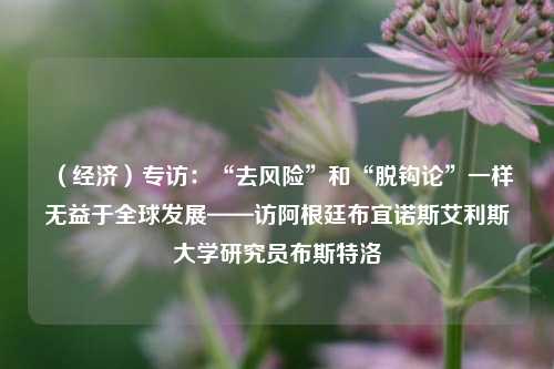 （经济）专访：“去风险”和“脱钩论”一样无益于全球发展——访阿根廷布宜诺斯艾利斯大学研究员布斯特洛