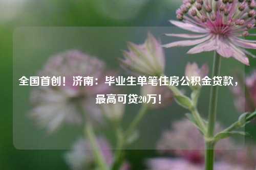 全国首创！济南：毕业生单笔住房公积金贷款，最高可贷20万！