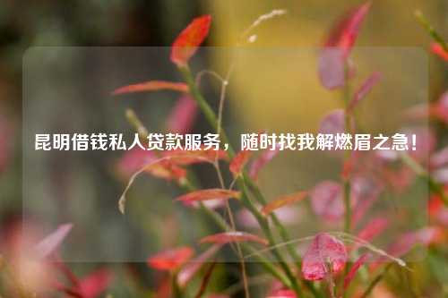 昆明借钱私人贷款服务，随时找我解燃眉之急！ 个人贷款 民间借贷 第1张