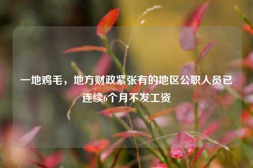 一地鸡毛，地方财政紧张有的地区公职人员已连续6个月不发工资