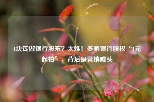 1块钱做银行股东？太难！多家银行股权“1元起拍”，背后是营销噱头