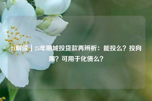 21解读｜25年期城投贷款再辨析：能投么？投向哪？可用于化债么？