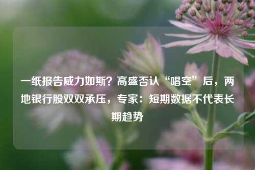 一纸报告威力如斯？高盛否认“唱空”后，两地银行股双双承压，专家：短期数据不代表长期趋势