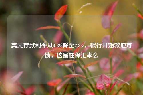 美元存款利率从4.3%降至2.8%，银行开始救地方债，这是在保汇率么