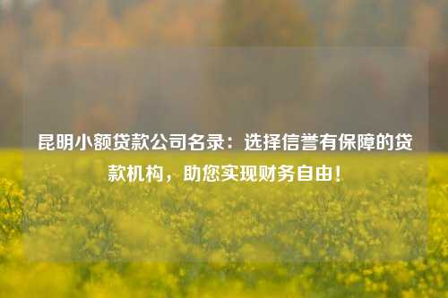昆明小额贷款公司名录：选择信誉有保障的贷款机构，助您实现财务自由！ 昆明市商业银行 银行 私人借款 第1张