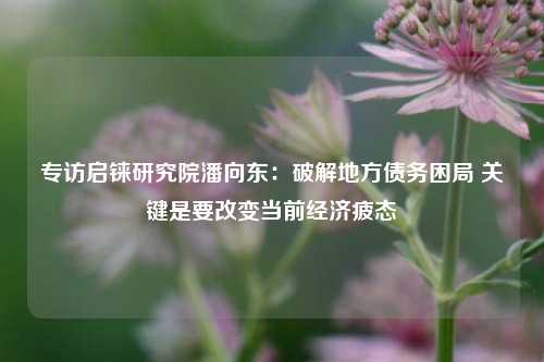 专访启铼研究院潘向东：破解地方债务困局 关键是要改变当前经济疲态
