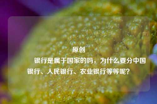 原创 银行是属于国家的吗，为什么要分中国银行、人民银行、农业银行等等呢？