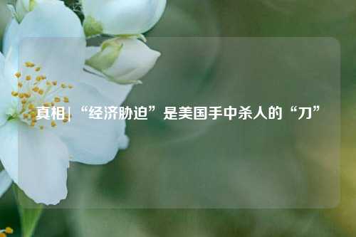真相|“经济胁迫”是美国手中杀人的“刀”